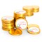 80 Pcs Pink Dinosaur Kid's Birthday Candy Party Favors Chocolate Coins with Gold Foil
